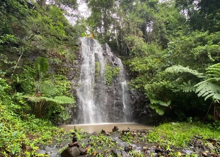 Nimbin Waterfall Retreat