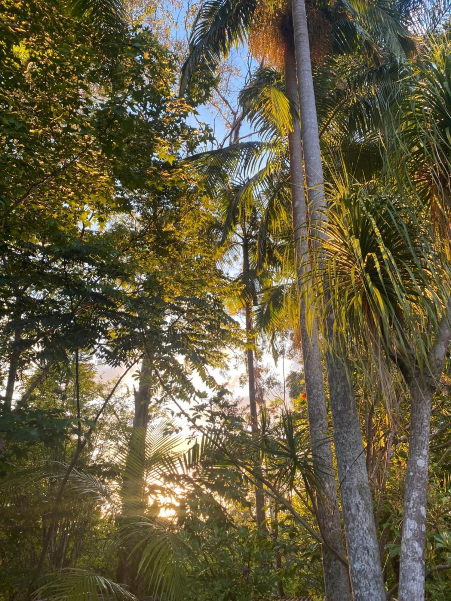Waterfall Retreat Guest house Nimbin