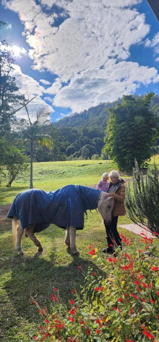 Waterfall Retreat * Nimbin