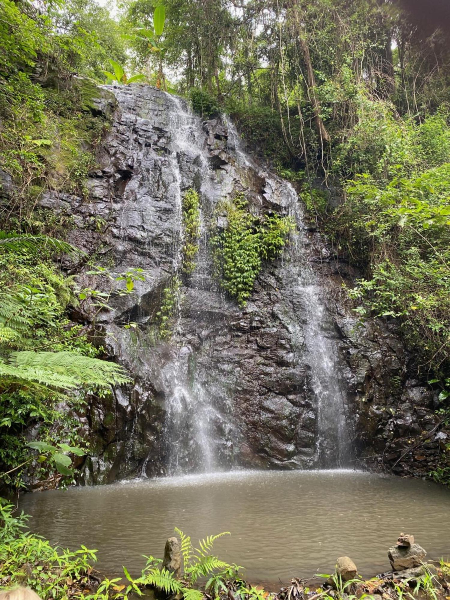 Waterfall Retreat Nimbin