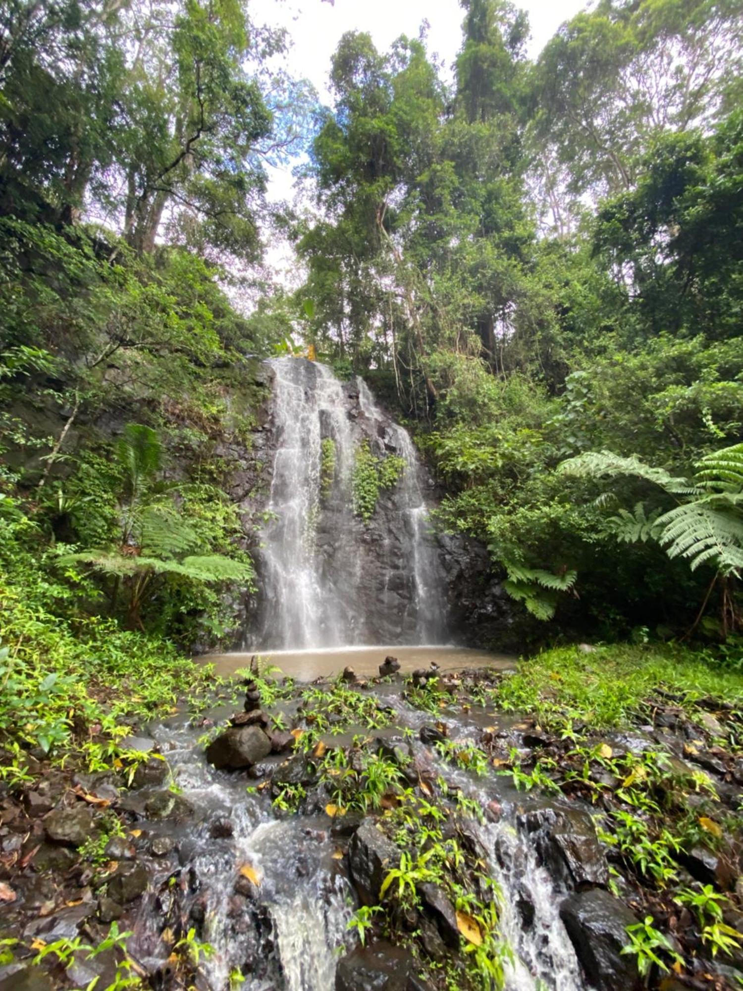 Guest house Waterfall Retreat